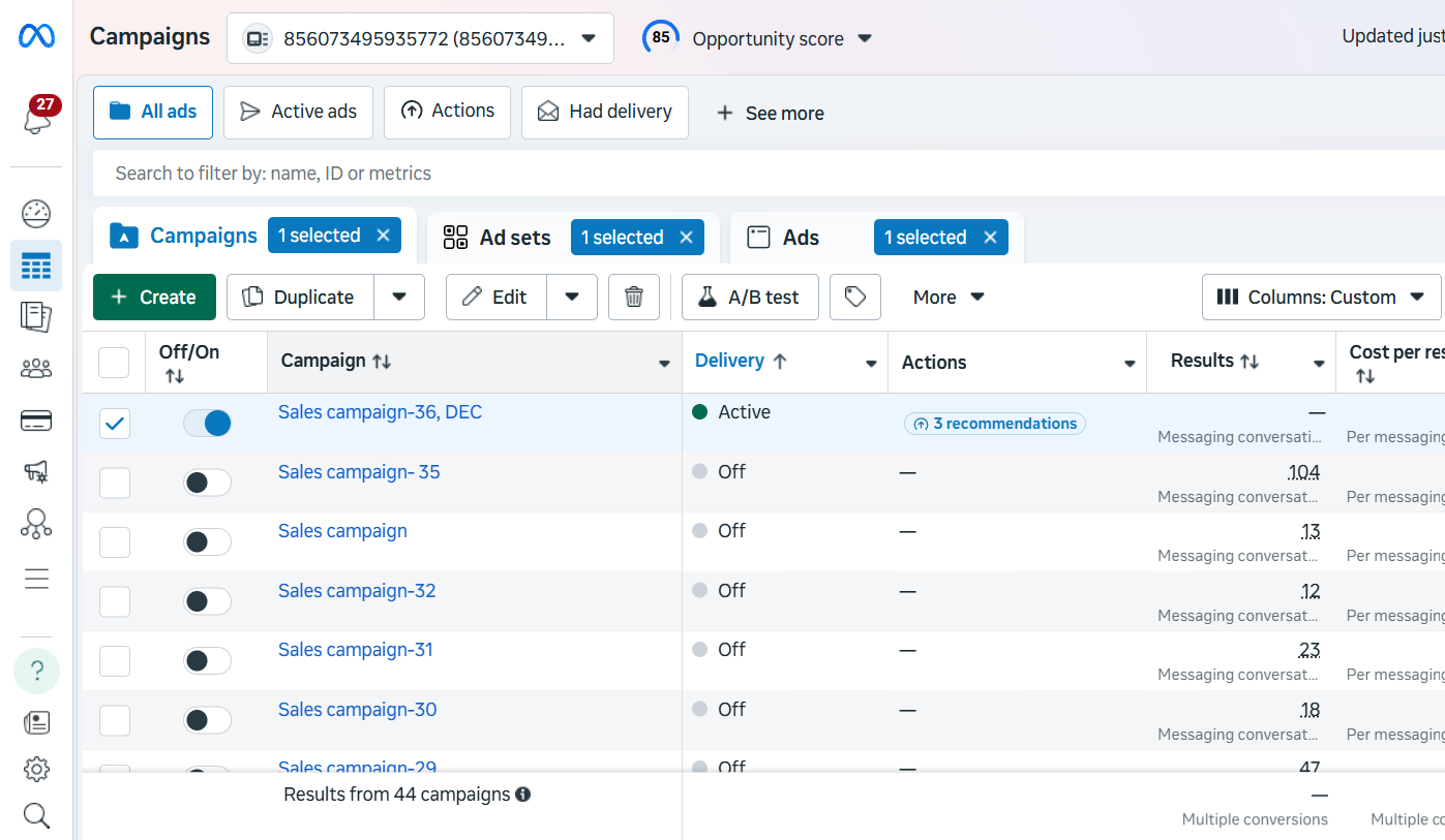 Campaign results table screenshot (anonymized).